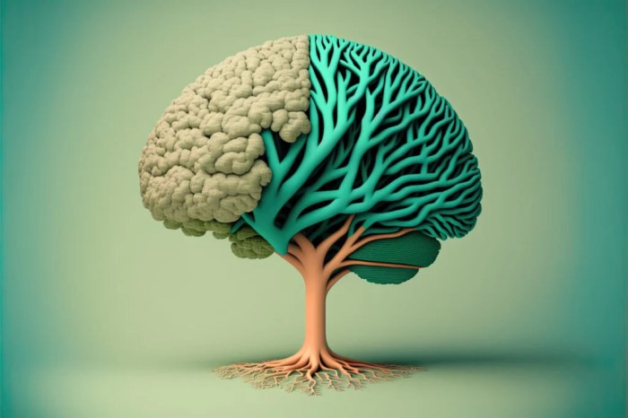 Emotional intelligence four learn self awareness areas social management domains relationship ei overview information nutshell each look